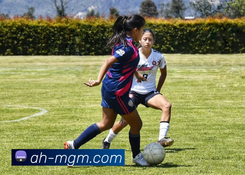 美高梅官网平台生态图